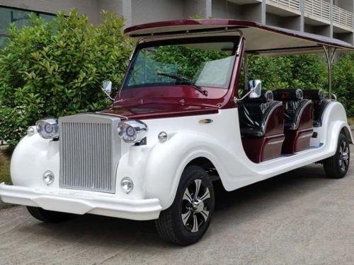 定制款電動(dòng)老爺看房車，迎賓車