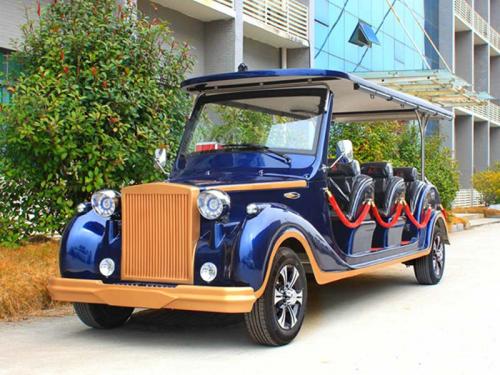 定制款電動(dòng)老爺看房車，迎賓車